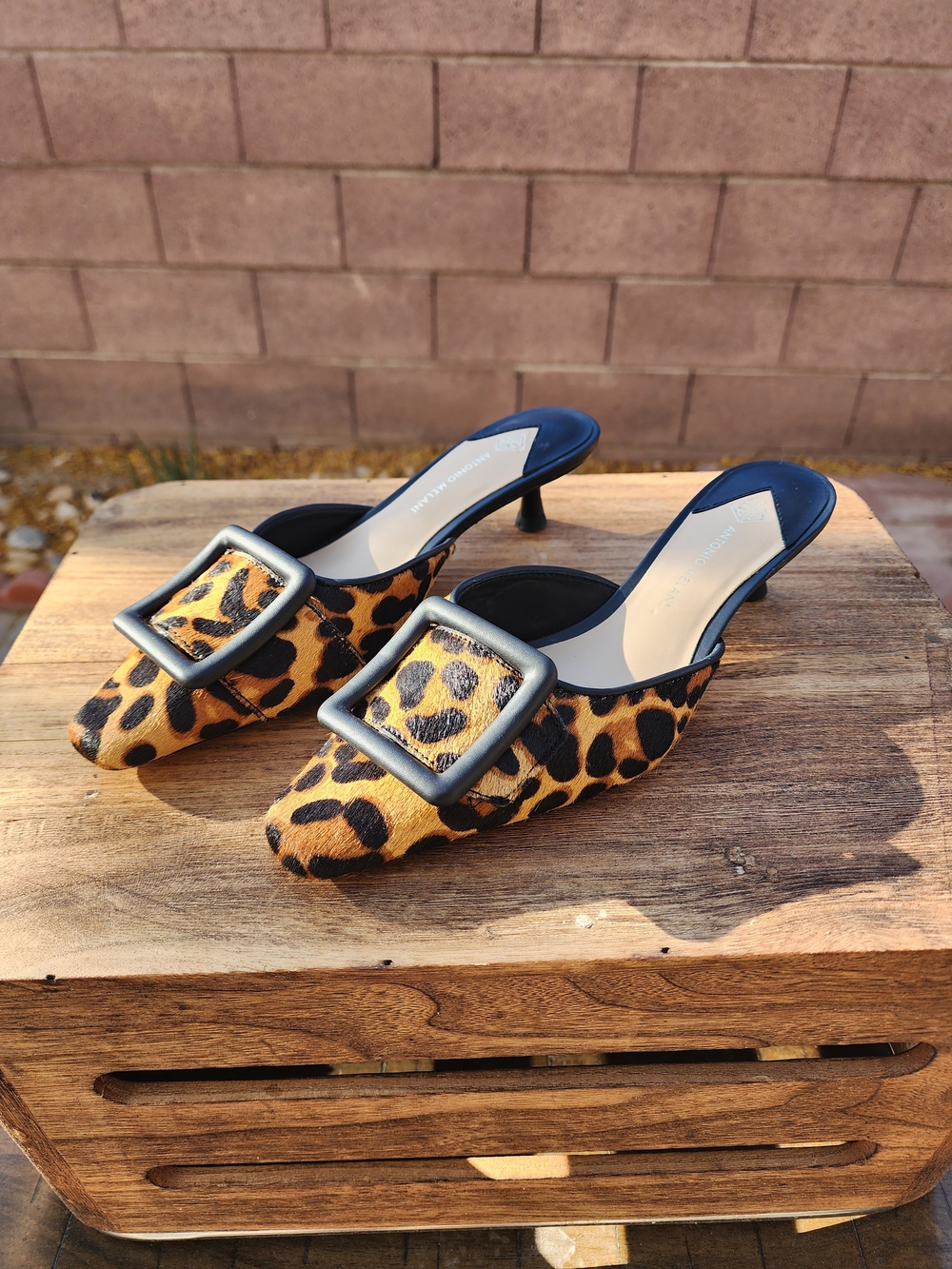 Antonio Melani Kendra Leopard Print Haircalf Buckle Ornament Dress Mules Size 6 - Picture 2 of 8